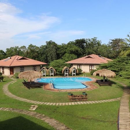 Hibiscus Garden Hotel Tissamaharama Bagian luar foto