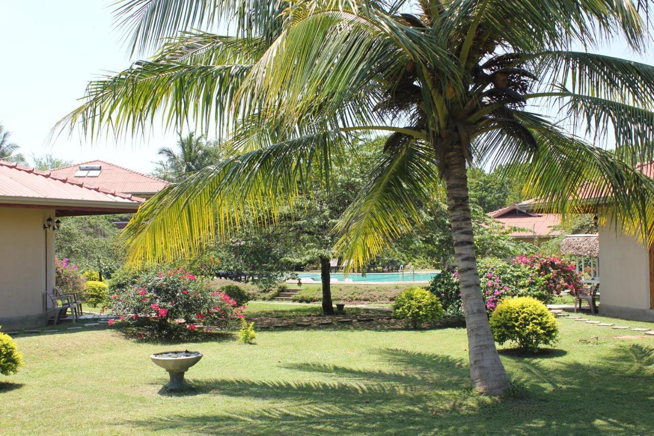 Hibiscus Garden Hotel Tissamaharama Bagian luar foto