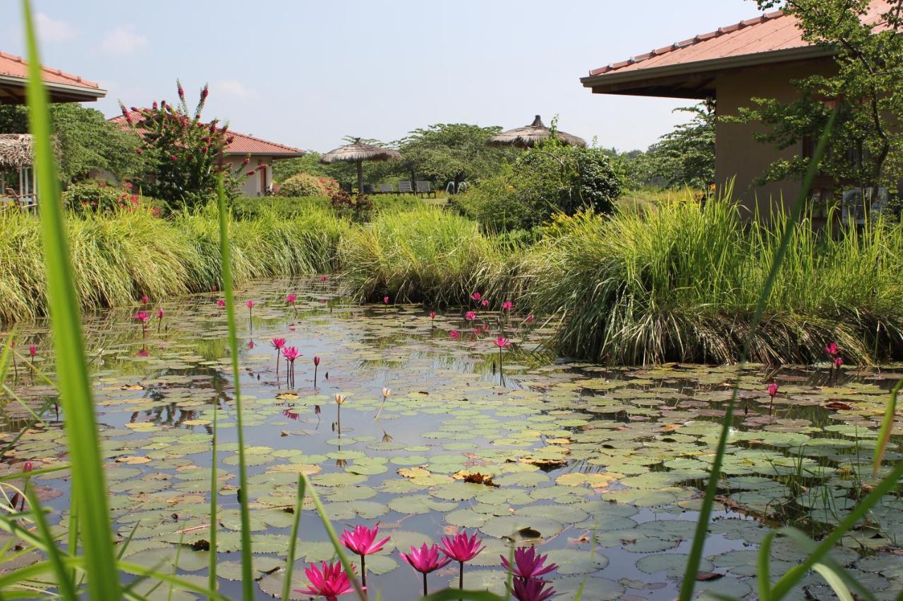 Hibiscus Garden Hotel Tissamaharama Bagian luar foto