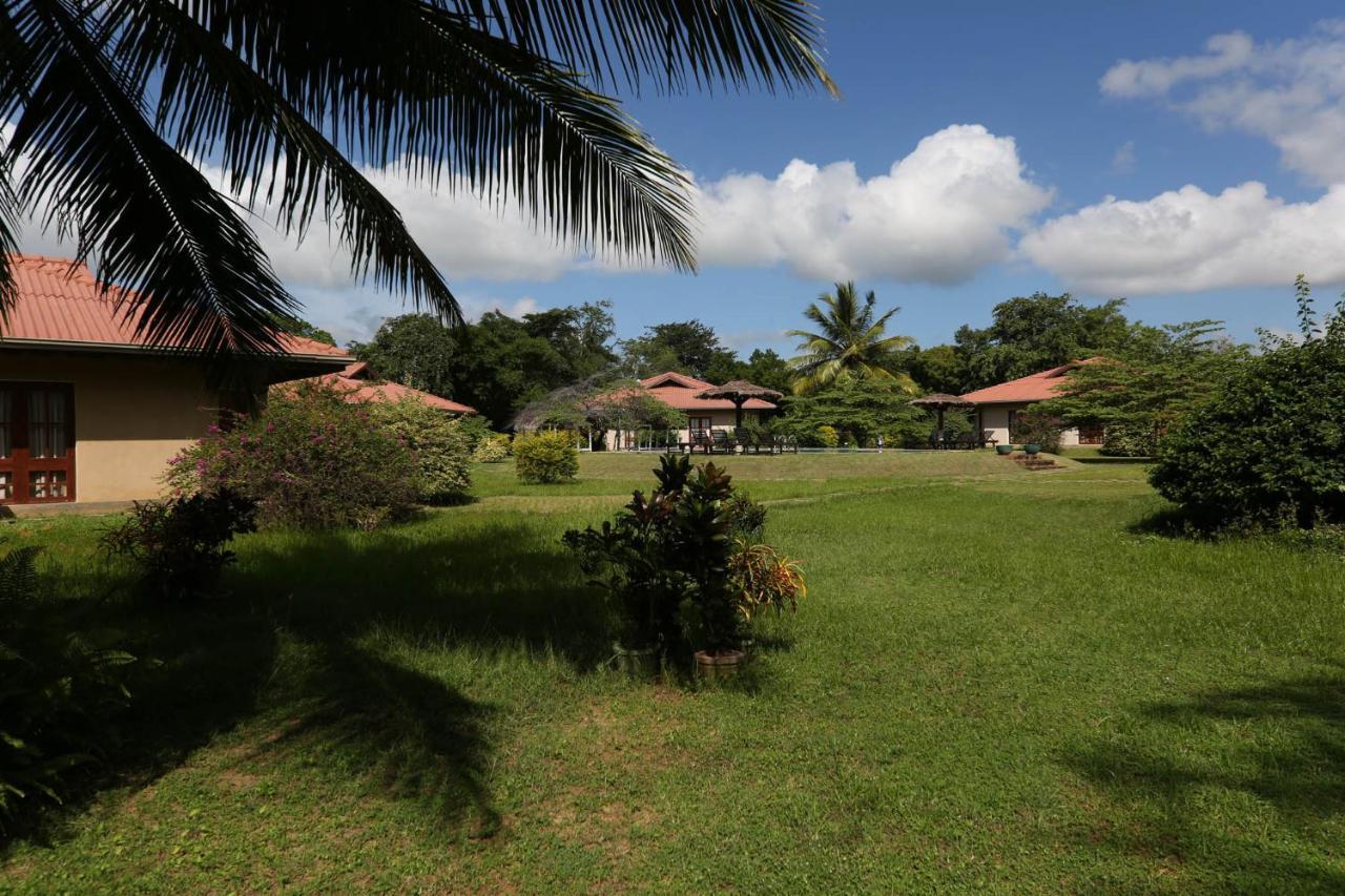 Hibiscus Garden Hotel Tissamaharama Bagian luar foto